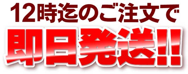 フォンターナは12時までの注文で即日発送